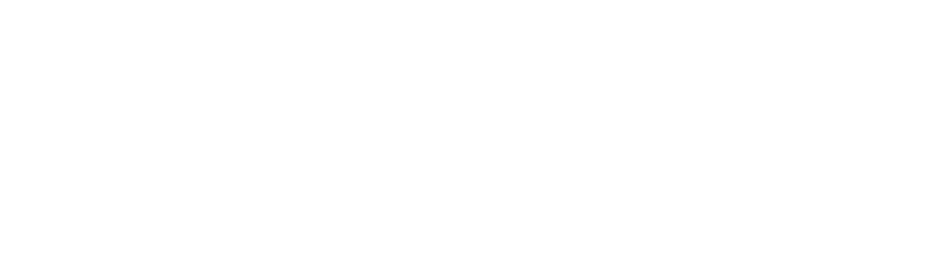 Wordmark for Danmar Software Solutions